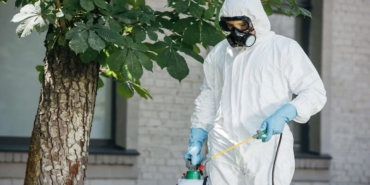 Böcek İlaçlama Nedir? Neden Önemlidir?