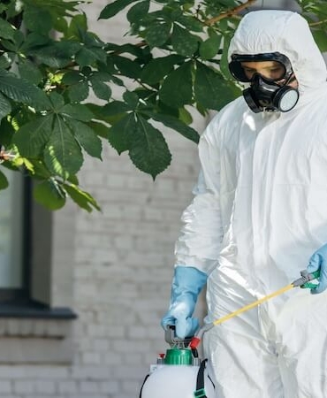 Böcek İlaçlama Nedir? Neden Önemlidir?