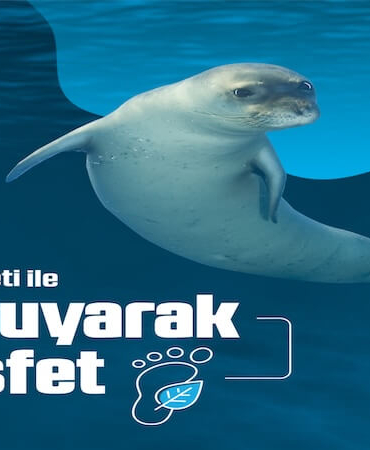 Tatilde Doğayı Koruyarak Keşfedin