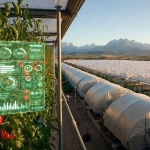 Antalya’da Tarım 2.0